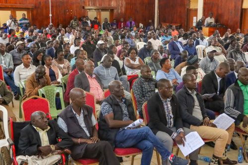 public participation