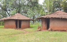 Abandoned Kikuyu shrine sparks concern over cultural heritage loss