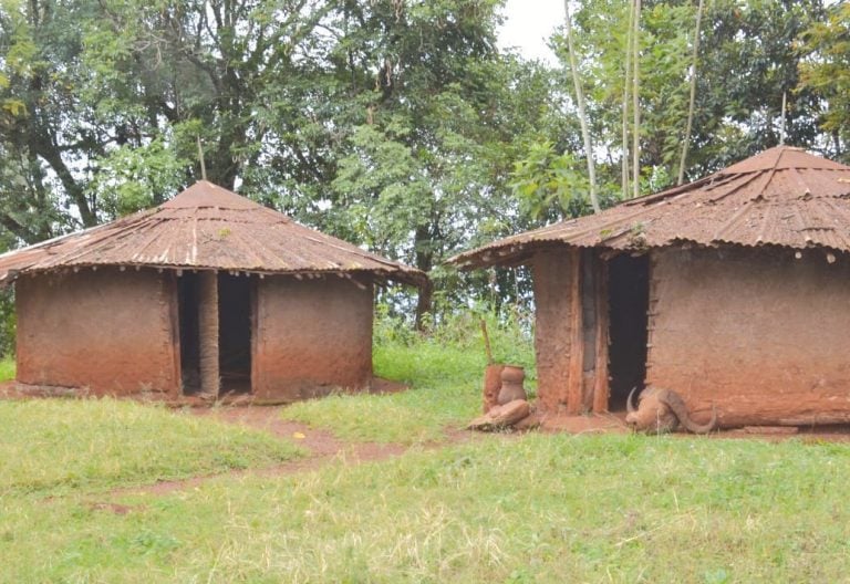 The two huts at the centre of the shrine which are believed to be used by Gikuyu and Mumbi. PHOTO/Wangari Njuguna