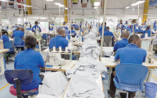 Sh18bn set aside for job creation in 2 key sectors