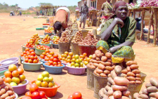 New food policy priorities in rapidly changing world