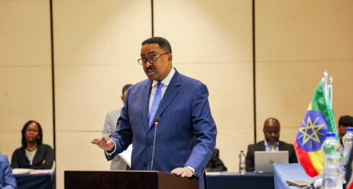 IGAD Executive Secretary Workneh Gebeyehu speaking during the bilateral meeting in Addis Ababa, Ethiopia on June 4, 2025. PHOTO/igad.int