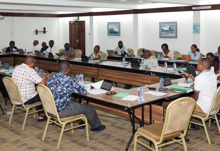 Departmental Committee on Finance and National Planning meeting KRA officials on Saturday, June 7, 2025. PHOTO/@KuriaKimaniMP/X