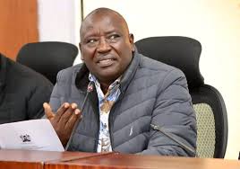 Kitui Central MP Makali Mulu during a past event. PHOTO/@MakaliMulu/X
