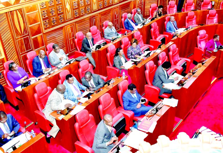 Delays to the Senate’s 2024 Tobacco Control (Amendment) Bill are stoking regulatory uncertainty around smokeless nicotine products. PHOTO/Print