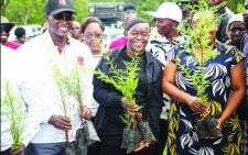 World Environment Day backs efforts to end plastic pollution