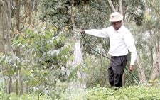 How greed robbed the community of Muumandu Forest block