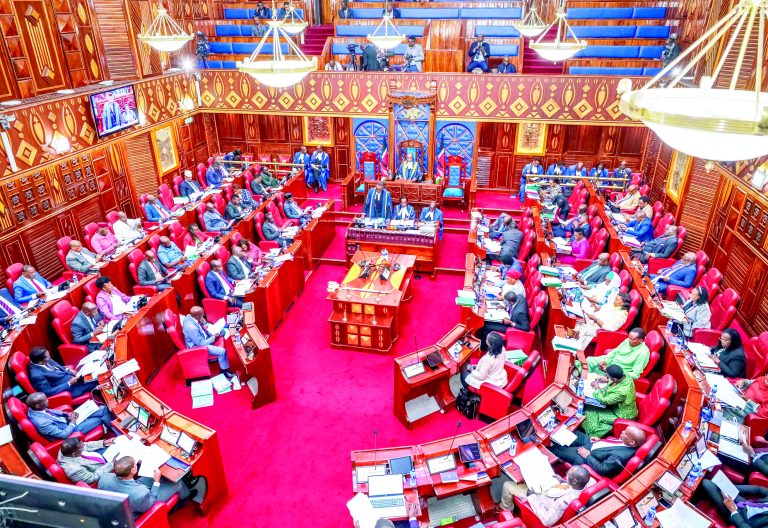 The Kenyan Senate in session. PHOTO/Print