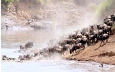 Beyond the beaten path: An invite to Kenya’s unique ‘Twin Migration’