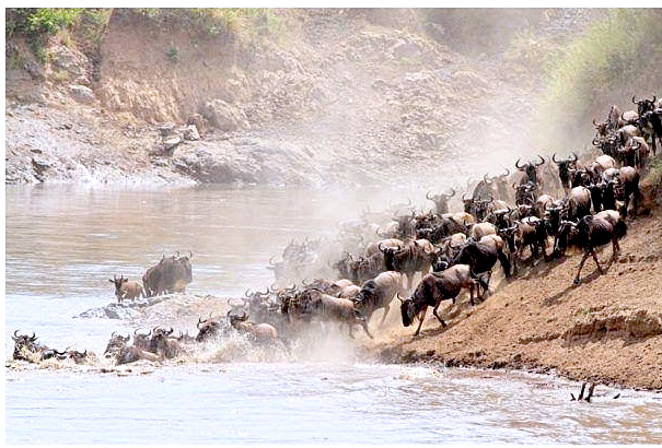 Beyond the beaten path: An invite to Kenya’s unique ‘Twin Migration’