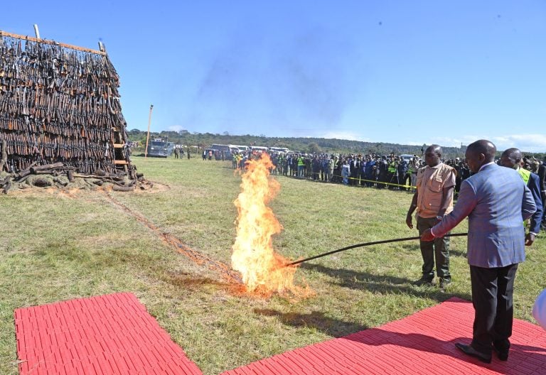 Ruto destroys over 6,000 guns in crackdown on illicit arms