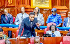 Senator warns against linking protests to Arab Spring