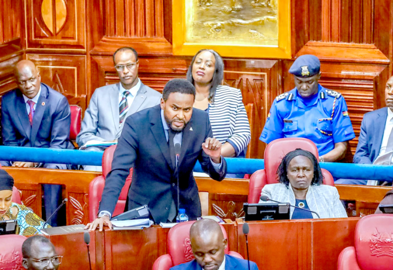 Senator Abdul Haji speaks in Senate. PHOTO/Print