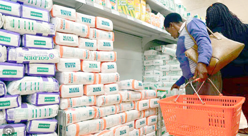 A shopper at a supermarket.
