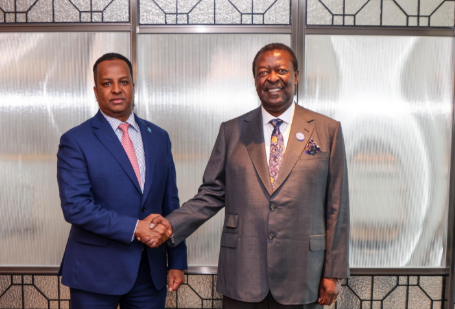 Prime Cabinet Secretary and Cabinet Secretary for Foreign and Diaspora Affairs Musalia Mudavadi with his Somali counterpart, Abdisalam Dhaay on June 10, 2025. PHOTO/@MusaliaMudavadi/X