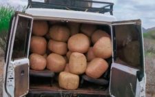 Police intercept car on highway and seize 75 bales of cannabis