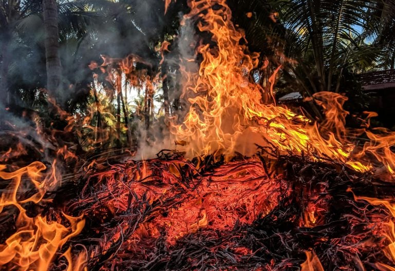 Wildfire burning a forest. This picture is used for illustration. PHOTO/Pixel