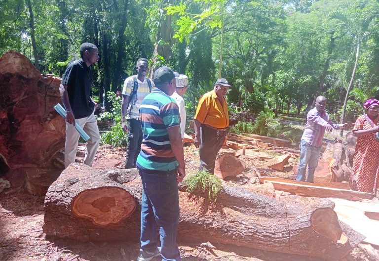 Mombasa environment and human rights activists at the Uhuru Gardens where trees were cut down on Thursday morning. PHOTO/Reuben Mwambingu