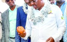 State to enforce 50kg potato packaging rule to ensure fair earnings