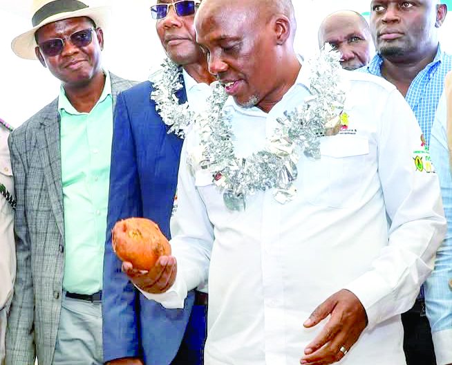 Agriculture PS Paul Kiprono Ronoh during the International Day of Potatoes held at Nyota ward, Kuresoi North. PHOTO/Bernard Waweru