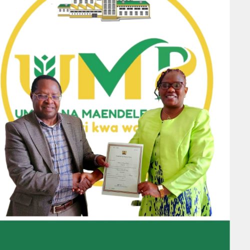 Kawira Mwangaza receiving the certificate. PHOTO: https://www.facebook.com/photo?fbid=1300501931434867&set=a.483419159809819