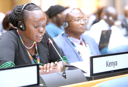 Environment, Forestry and Climate Change Cabinet Secretary, Dr Deborah Barasa speaking during the ministerial dialogues on Sustainable and climate-resilient financing and budgeting as a pathway to addressing climate change, natural disasters, and environmental degradation in Africa. PHOTO/Ministry of Environment