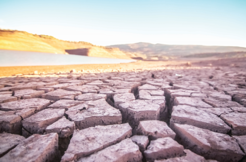Dry soil due to drought.