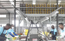 Integrating young people into manufacturing sector