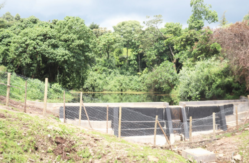 Dam at Meswondo Water Spring. PHOTO/Emmanuel Rono