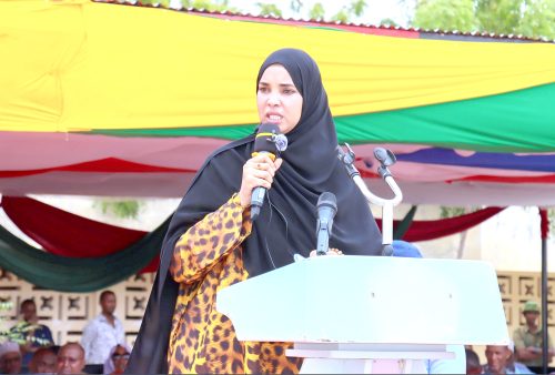 Wajir Woman Representative Fatuma Abdi Jehow speaking during the 60th anniversary of Wajir High School, where she declared that the region will use any means to rig the elections. PHOTO/Print
