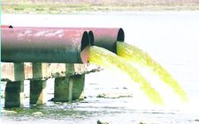 Firms must integrate climate litigation risk 