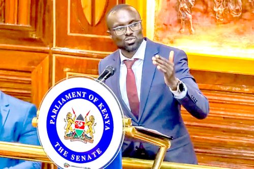 Water, Sanitation, and Irrigation Cabinet Secretary Eric Murithi Mugaa when he appeared before the Senate recently. PHOTO/@Senate_KE/X