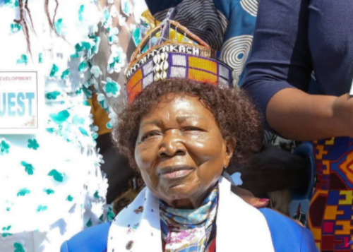 Former Karachuonyo MP and women’s rights trailblazer Phoebe Muga Asiyo. PHOTO/@gladyswanga/X