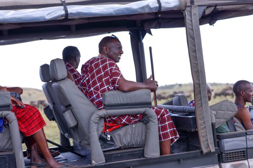 President William Ruto enjoys game drive at Maasai Mara National Reserve while clad in traditional Maa attire. PHOTO/president.go.ke