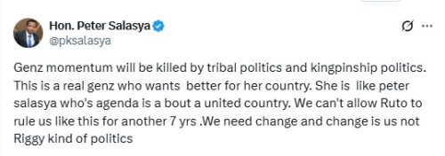 Mumias MP Peter Salasya’s post on X. PHOTO/A screengrab by People Daily Digital@pksalasya/X

