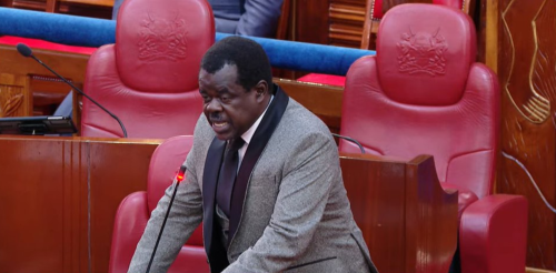 Busia Senator Okiya Omtatah during a parliamentary sitting. PHOTO/A screengrab by People Daily Digital/ YouTube