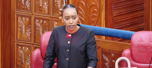 Nominated Senator Hezena Lemaletian during the Senate sitting. PHOTO/ A screengrab by People Daily Digital/YouTube