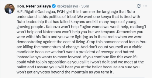 Mumias MP Peter Salasya’s post on X. PHOTO/A screengrab by People Daily Digital@pksalasya/X
