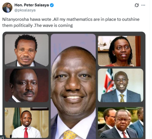 Part of the X post from Salasya. PHOTO/ Screengrab by People Daily Digital