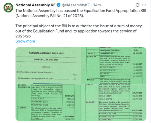 Statement by the National Assembly. PHOTO/Screengrab by People Daily Digital.