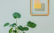Easy wall décor tips to add warmth and character to