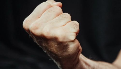 Image of a clenched fist used for representation in the article. PHOTO/Pexels