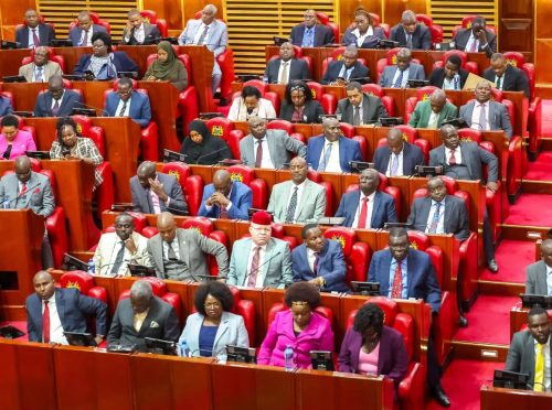 The National Assembly’s Energy Committee and the Committee on Public Debt and Privatisation during a sitting on August 5, 2025. PHOTO/https://www.facebook.com/photo?fbid=1213716157462813&set=pcb.1213716344129461/Parliament of Kenya