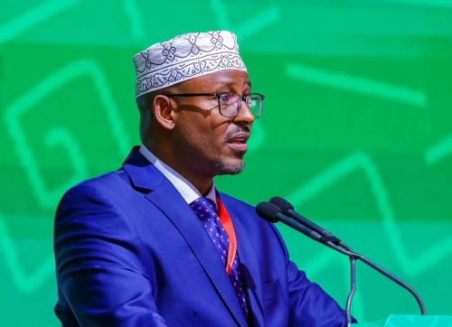 Wajir Governor Ahmed Abdullahi speaking at a past function. PHOTO/https://web.facebook.com/HEAhmedJiir