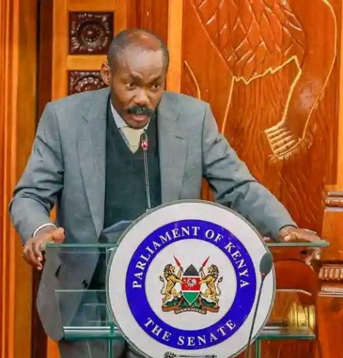 A past photo of Elisha Ongoya while in the Senate during an impeachment case. PHOTO//https://www.facebook.com/photo/?fbid=122261474996033491&set=a.122115785270033491