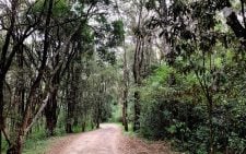 Govt explains why it wants to clear 3 acres of