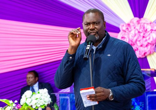 Public Service CS Geoffrey Ruku during a past event. PHOTO/@gk_ruku/X