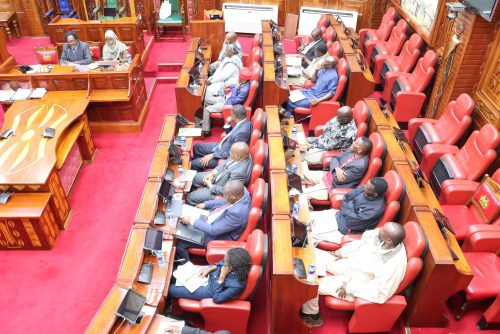 Senators during a sitting on Monday, 4th August 2025. PHOTO/@Senate_KE/X