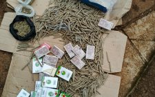 Police seize over 1K rolls of bhang, arrest 5