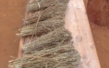 Police seize bhang concealed in sack